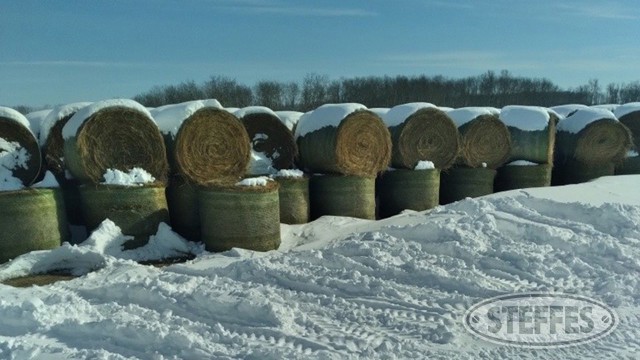 Rolling Hills Hay Auction