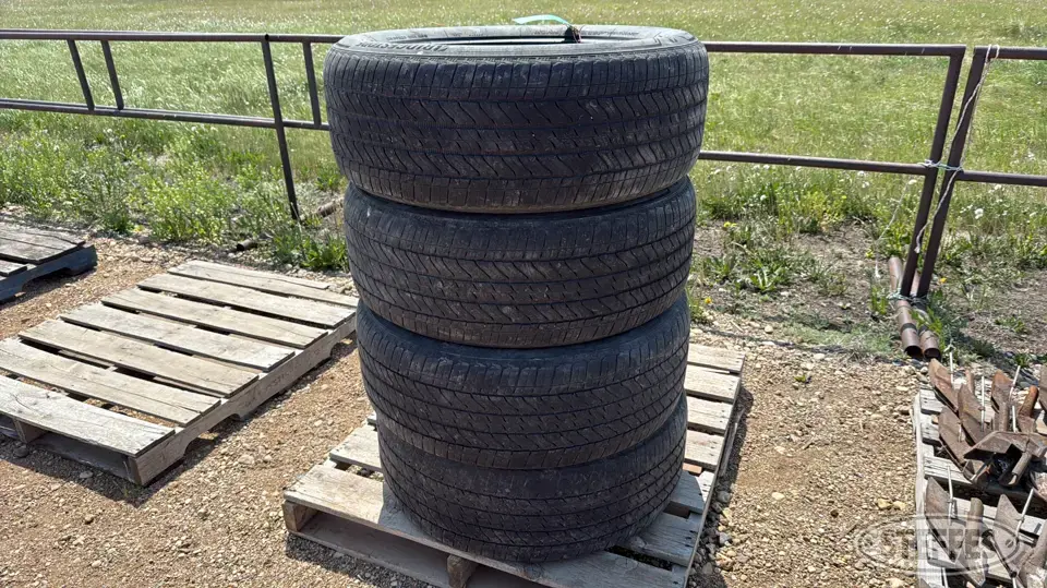 (4) Bridgestone 275/50R22 tires Passenger-Light Truck Tire