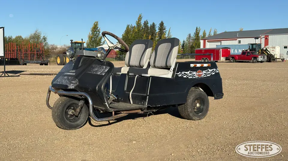 Harley Davidson golf cart