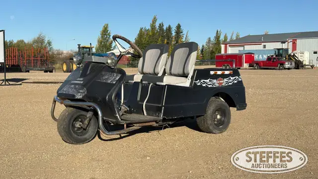 Harley Davidson golf cart