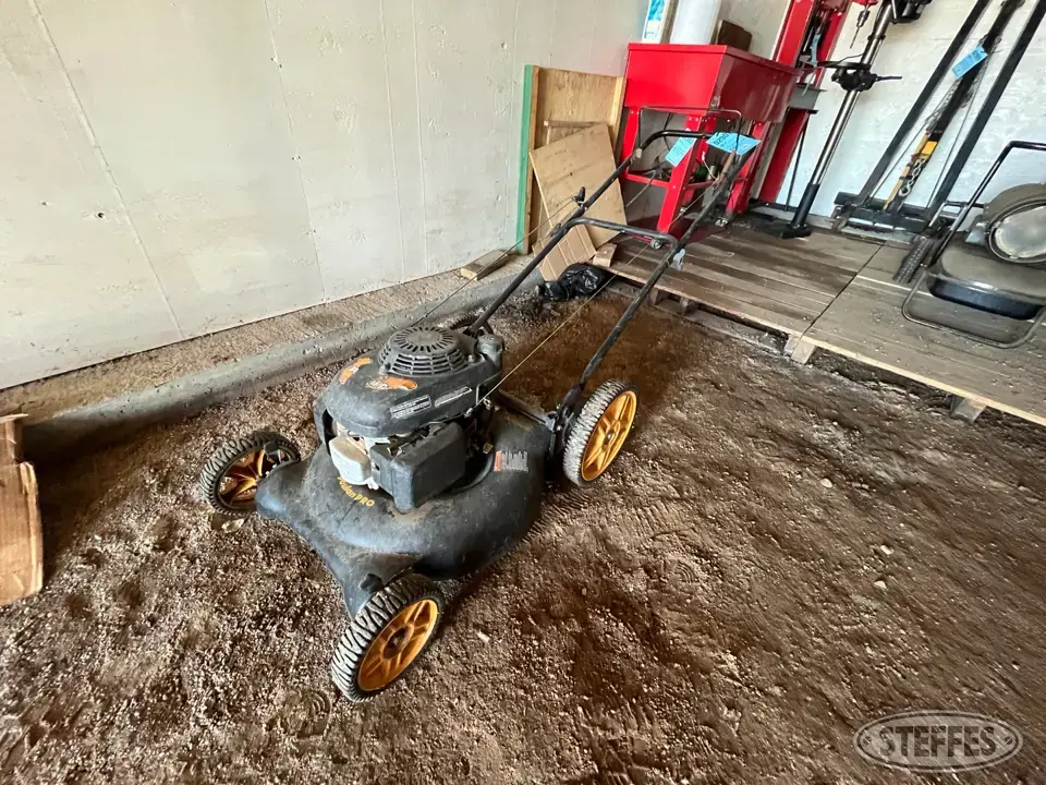 Poulan Pro Push Mower