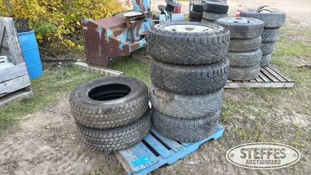 (6) Tires