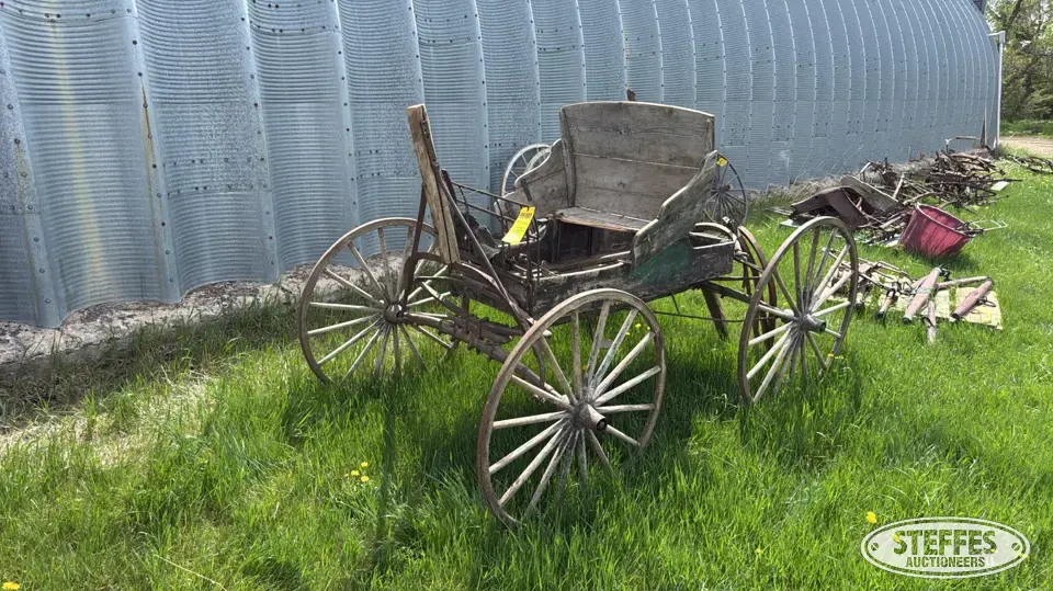 Horse drawn buggy
