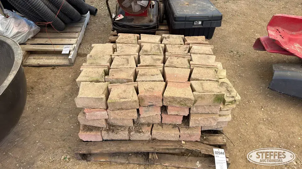 Approx. (100) bricks Recreational-Other