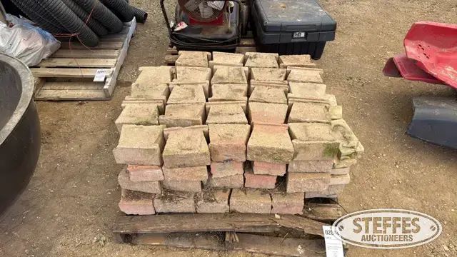 Approx. (100) bricks
