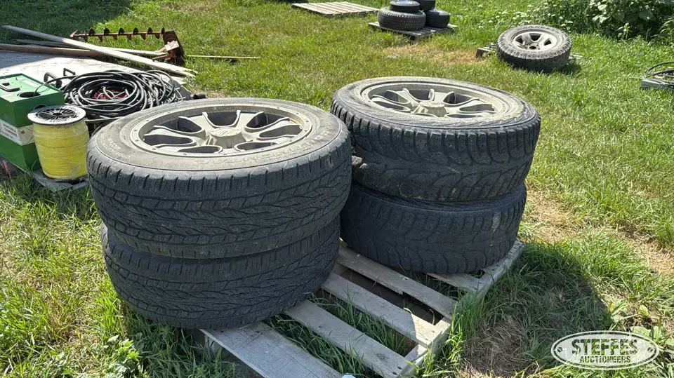 (4) 275/55R20 tires Passenger-Light Truck Tire