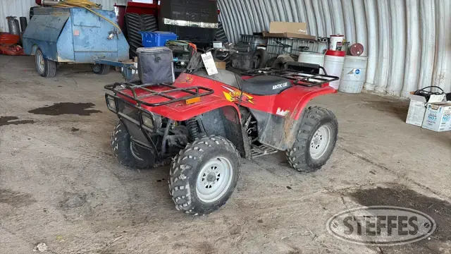1998 Arctic Cat 300