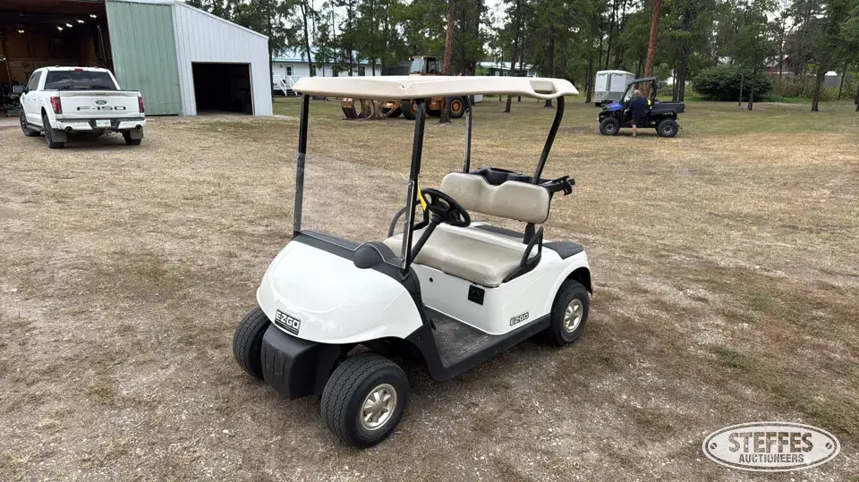 2009 EZ-Go RXV Golf Cart