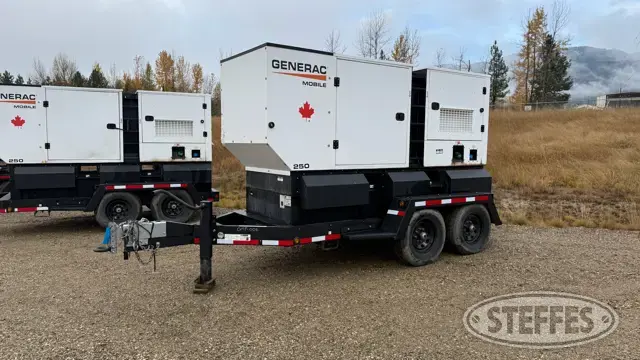 2021 Generac MDG250DF4