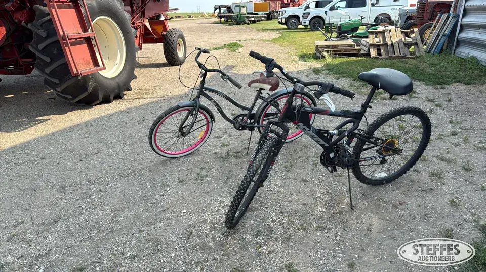 (2) Bicycles Recreational-Other