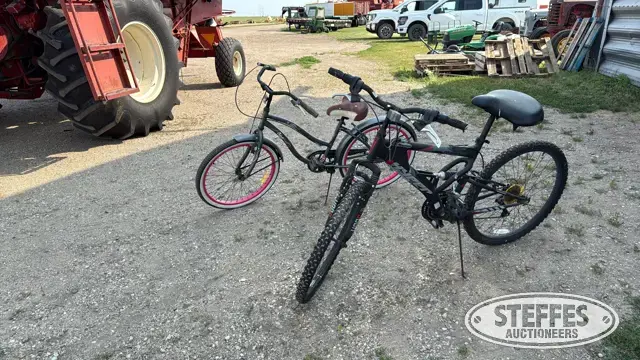 (2) Bicycles