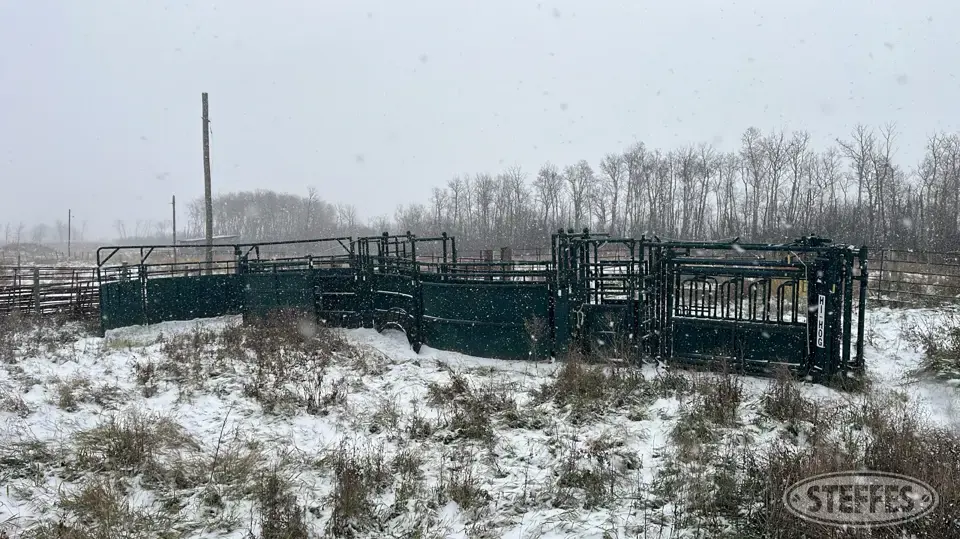 Hi-Hog cattle handling system Livestock Handling