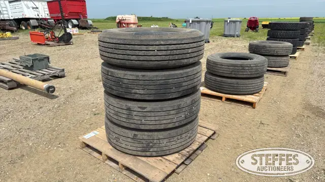 (4) Michelin XZA2 295/80R22.5 tires