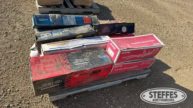 Approx. (22) gas shock absorbers