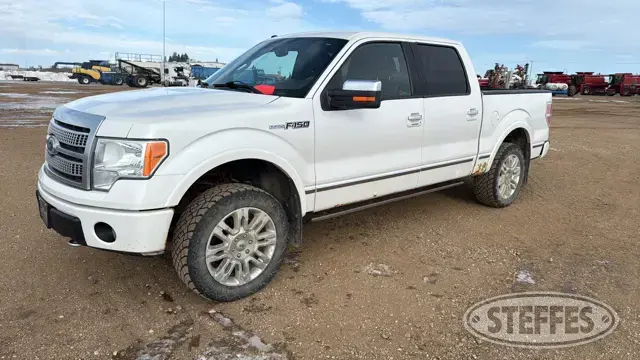 2010 Ford F-150 Platinum