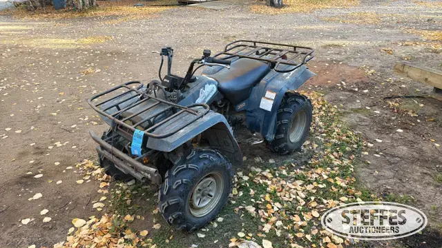Yamaha Big Bear 350