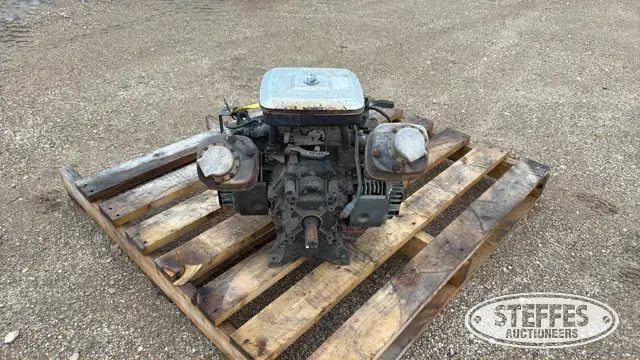 Briggs & Stratton J607