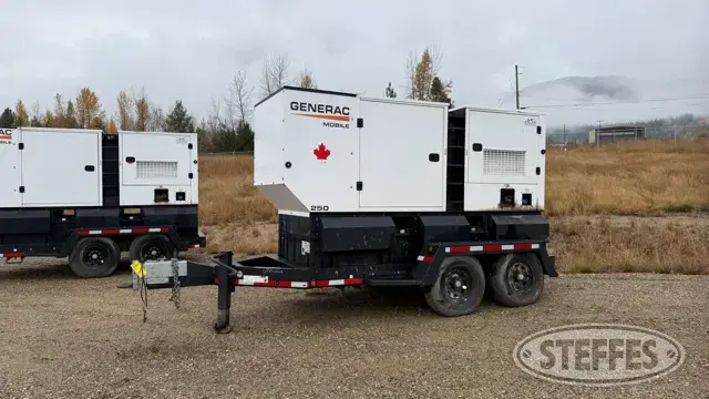 2021 Generac MDG250DF4