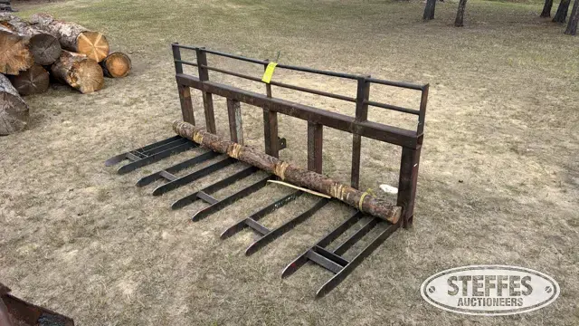 Loader forks
