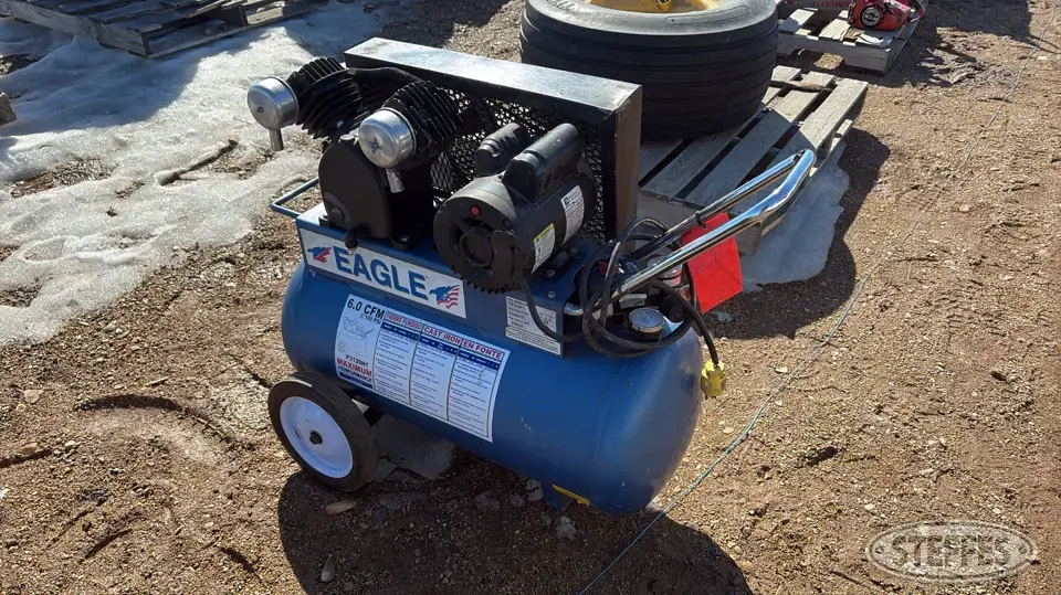 Eagle P3120H1 Air Tools and Compressor