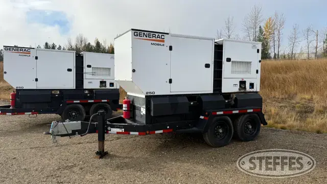 2021 Generac MDG250DF4