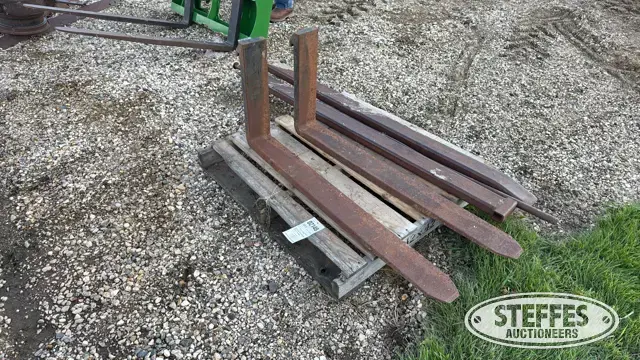 Pallet forks