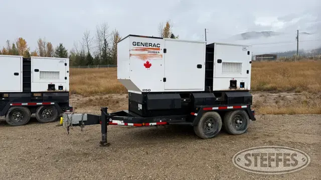 2021 Generac MDG250DF4
