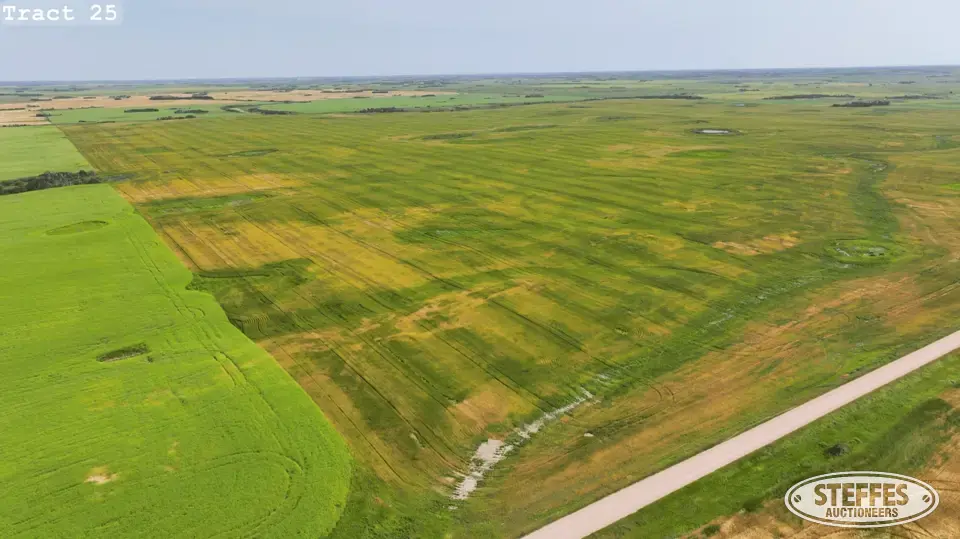 TRACT 25: Farmland