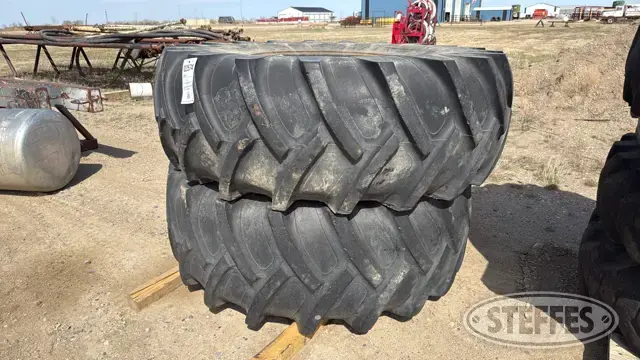(2) Titan 23.1R30 tires