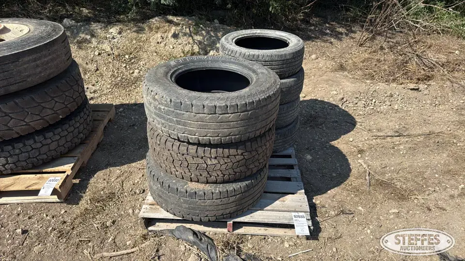 (7) Light truck tires Passenger-Light Truck Tire