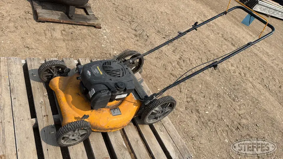 Poulan Pro Push Mower