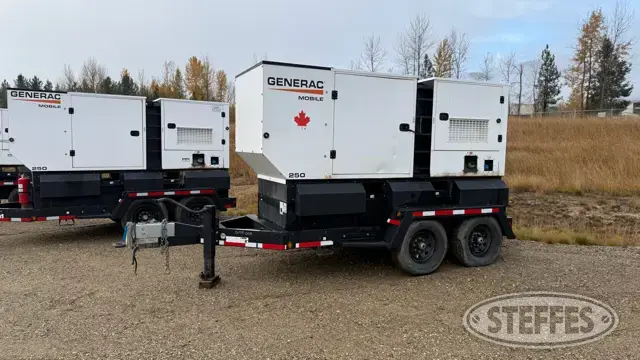 2021 Generac MDG250DF4