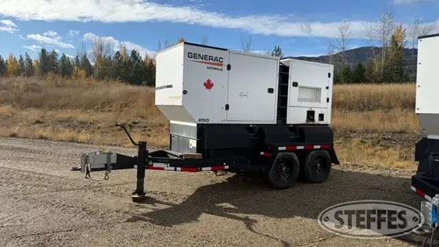 2021 Generac MDG250DF4