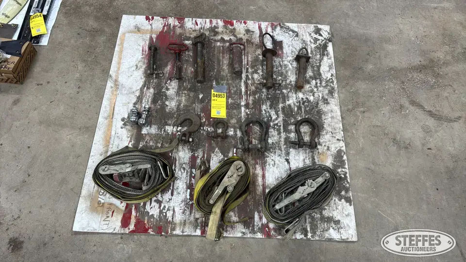 Pins, clevises, straps Ag Equipment Part