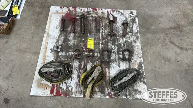 Pins, clevises, straps