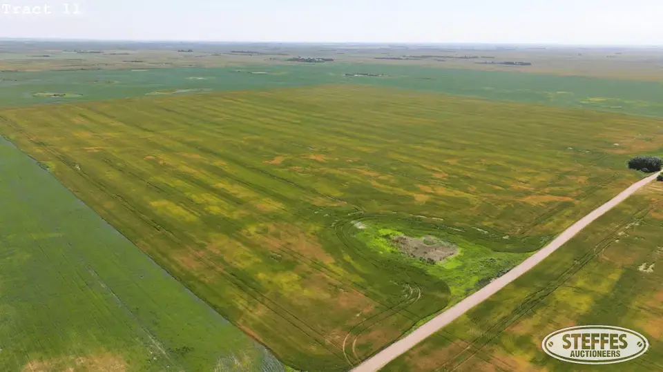 TRACT 11: Farmland