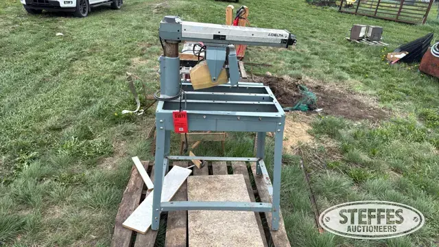 Delta 10