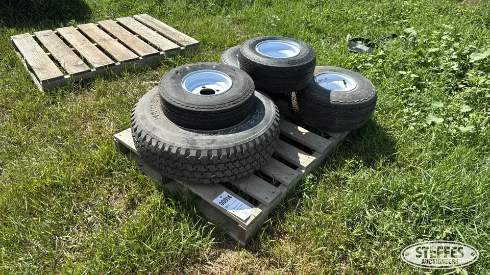 (5) Tires Passenger-Light Truck Tire