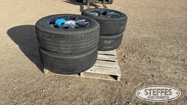 (4) Arisun 275/55R20 tires
