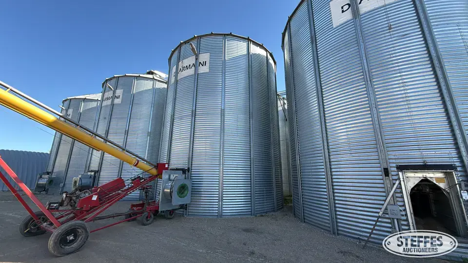 Darmani grain bin