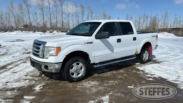 2010 Ford F-150