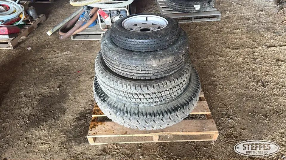 (4) Tires Passenger-Light Truck Tire