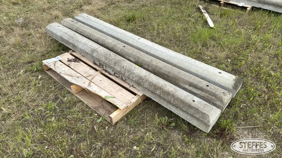 (3) Concrete curbs Concrete-Other