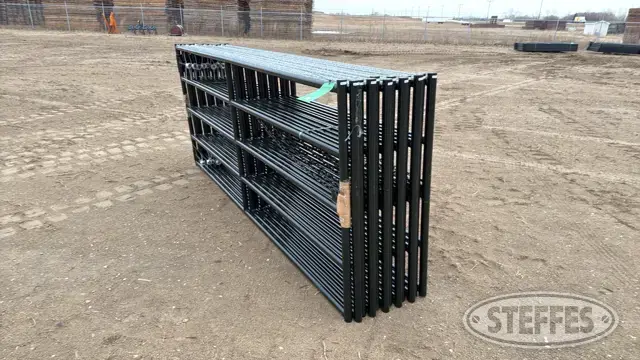 (12) BYT Ranch gates