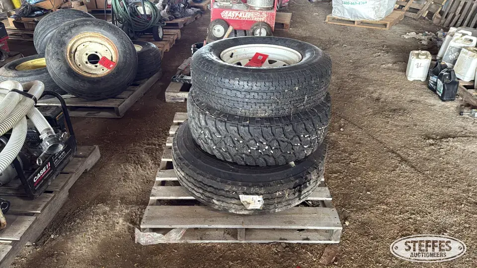 (3) Tires Passenger-Light Truck Tire