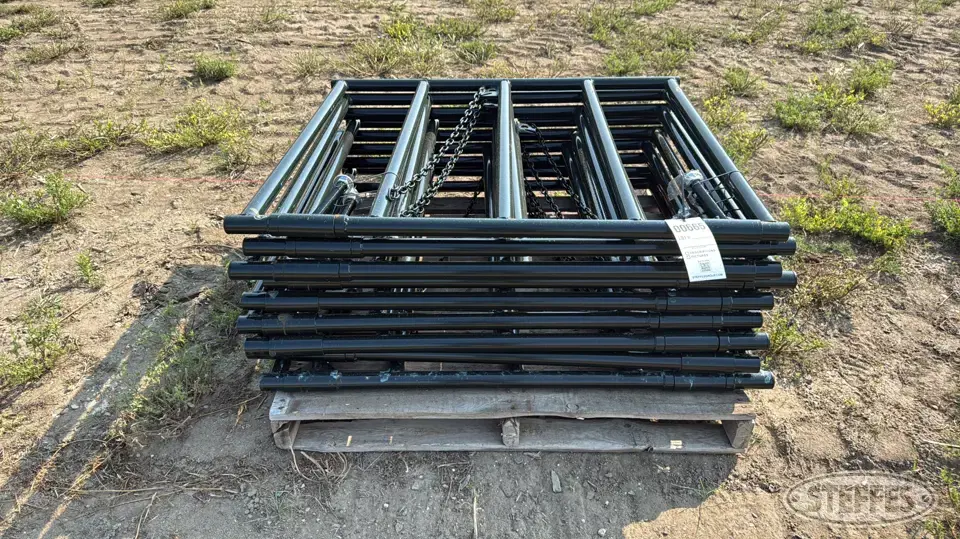 (9) BYT Ranch gates Livestock Handling