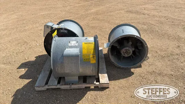 (3) Darmani bin fans
