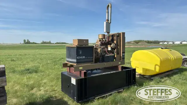 1985 Kohler 30ROZ261