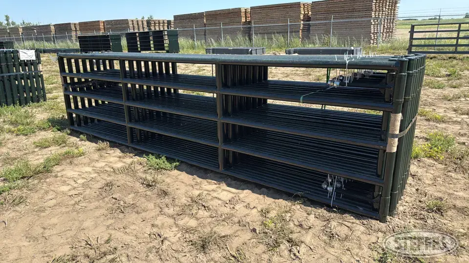 (16) BYT HD Magnum gates Livestock Handling