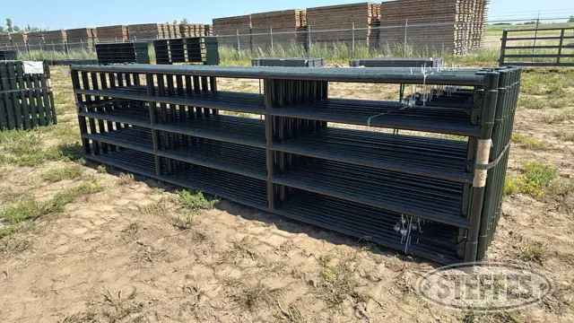 (16) BYT HD Magnum gates